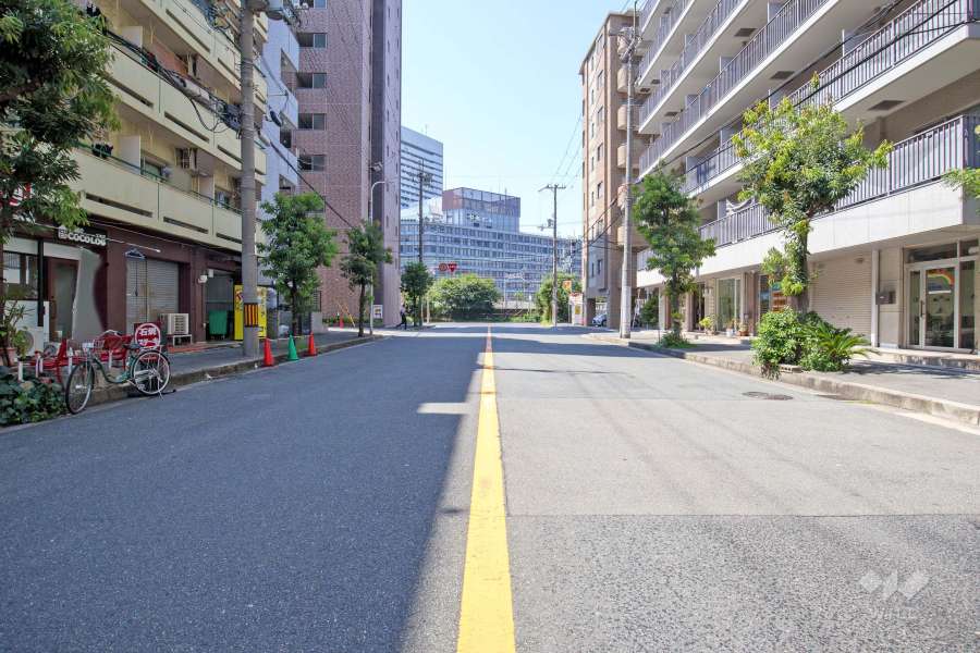 敷地北側の前面道路（東側から）