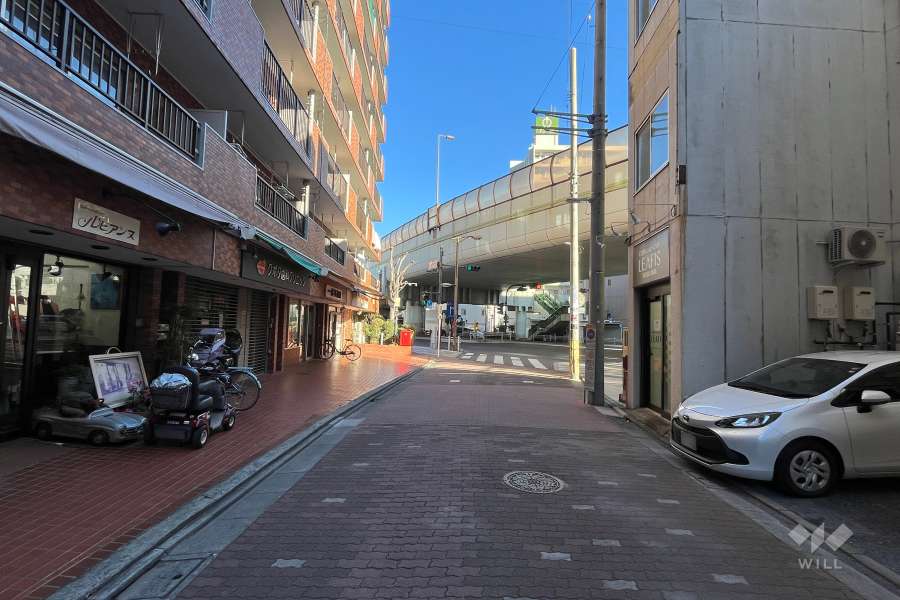 敷地南側の前面道路(西側から)