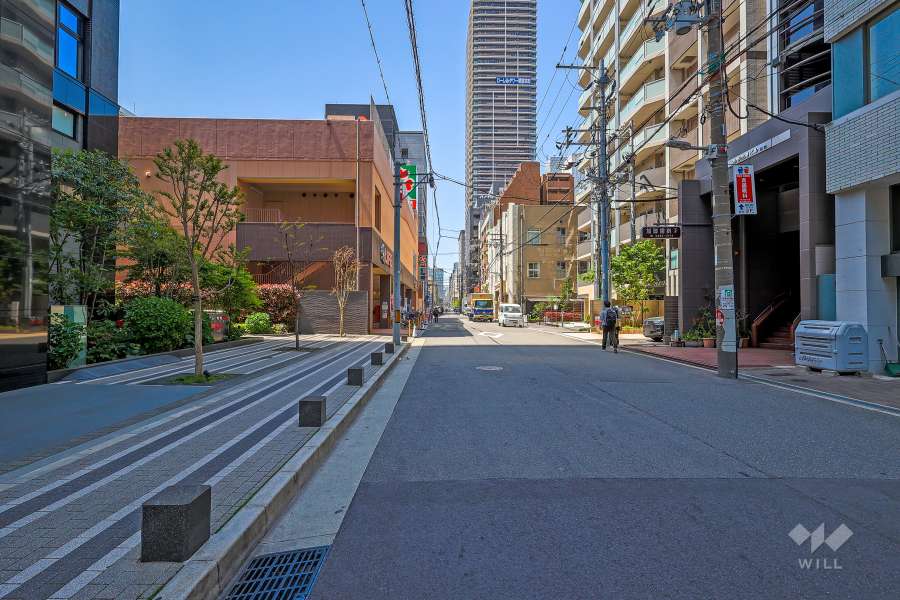 敷地北側の前面道路（東側から）