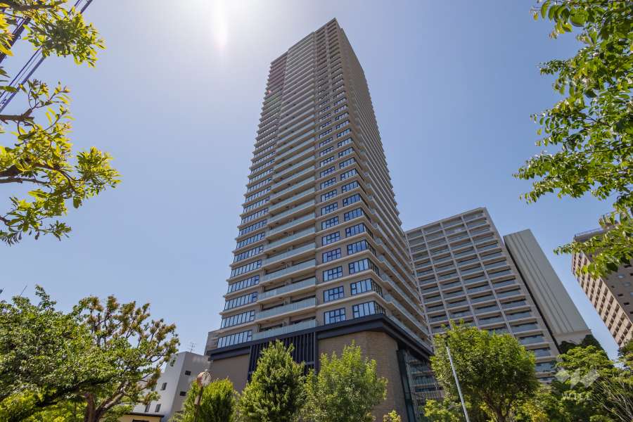 グランドメゾン上町1丁目タワーの外観（北東側から）