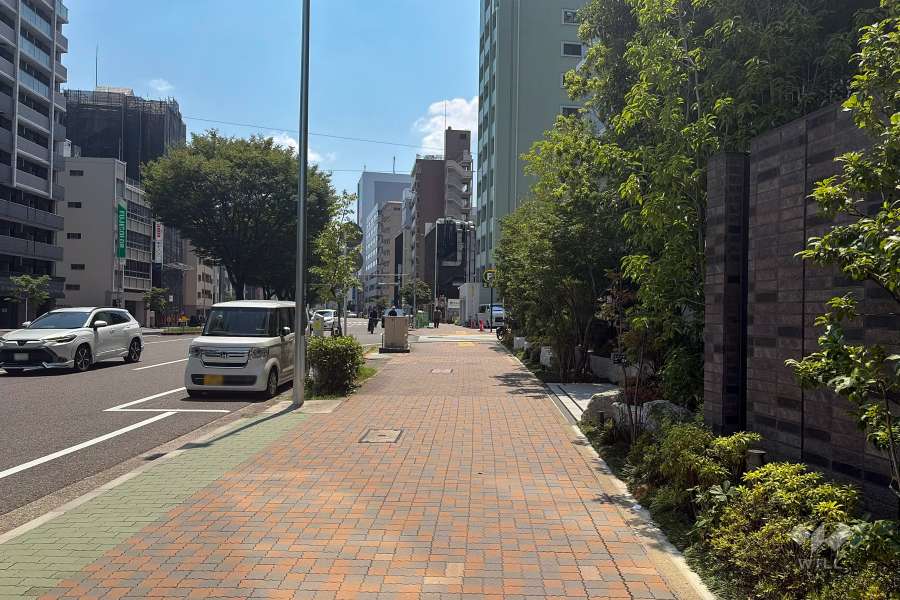 敷地東側の前面道路