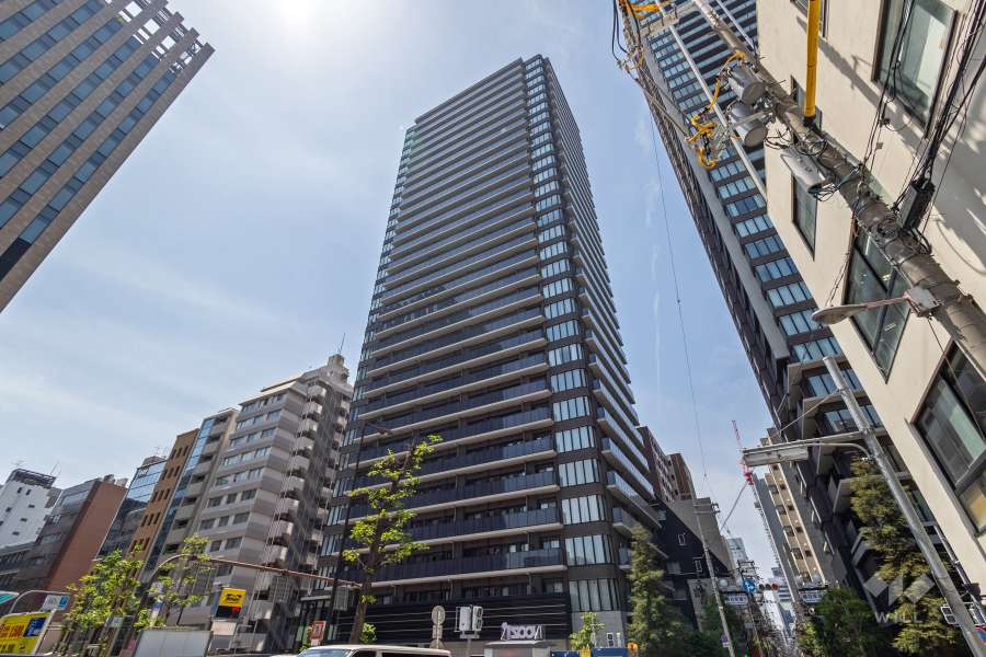 ブランズタワー・ウェリス心斎橋ＳＯＵＴＨの外観（北東側から）