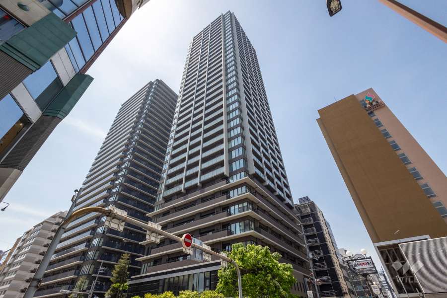 ブランズタワー・ウェリス心斎橋NORTHの外観（北東側から）