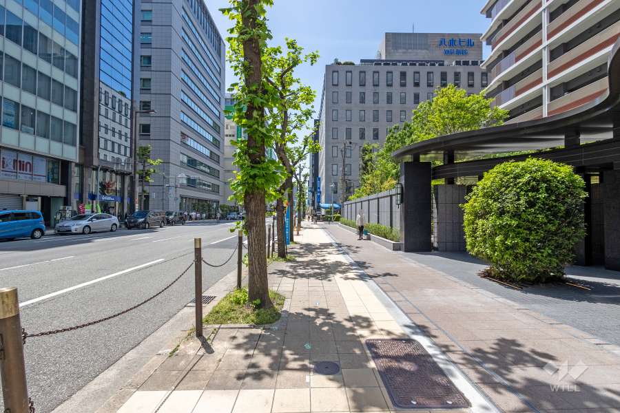 敷地東側の前面道路（北側から）