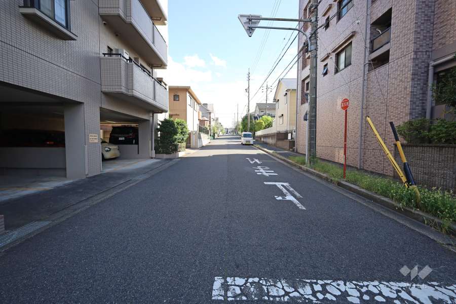 敷地西側の前面道路（北側から）