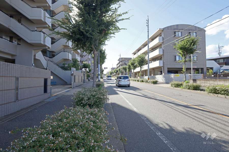 敷地北側の前面道路（東側から）