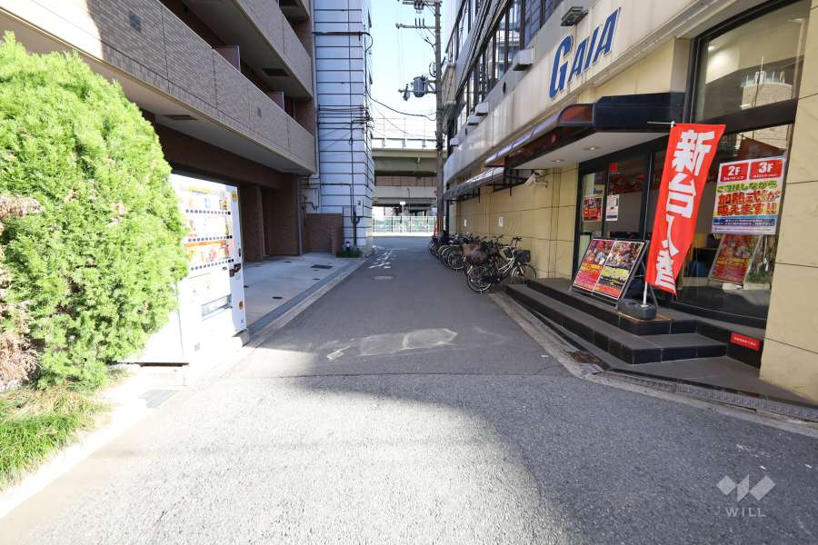 敷地南側の前面道路(西側から)