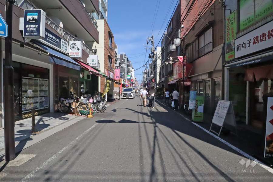 敷地南側の前面道路（西側から）