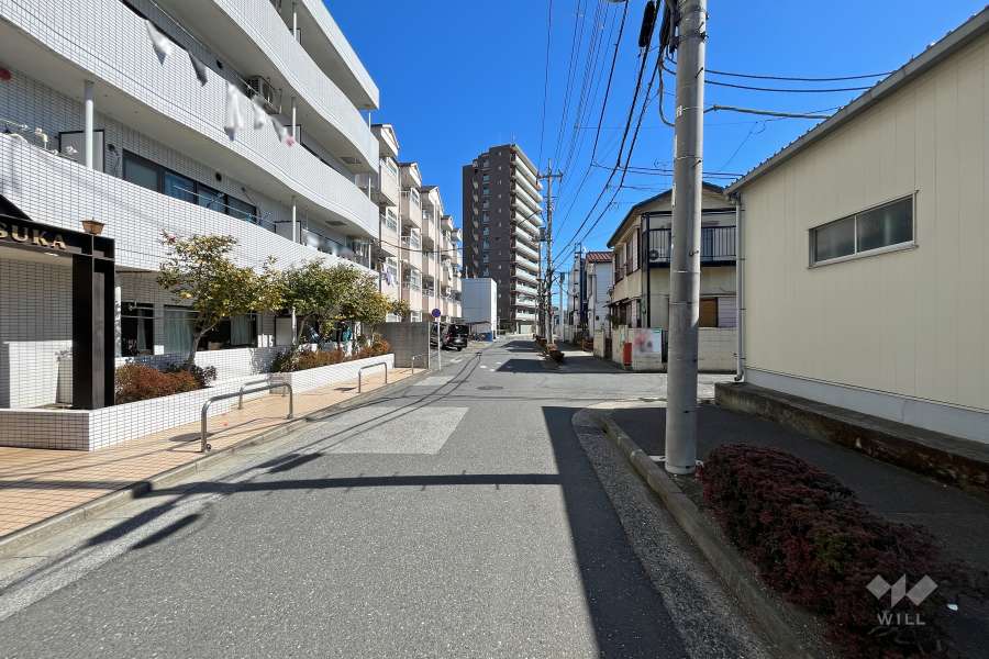 敷地南側の前面道路（西側から）