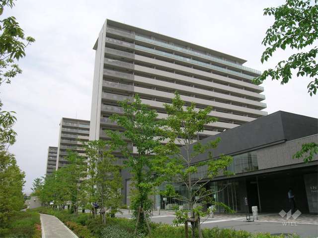 手前がサウスフィールド、奥がノースフィールドです。