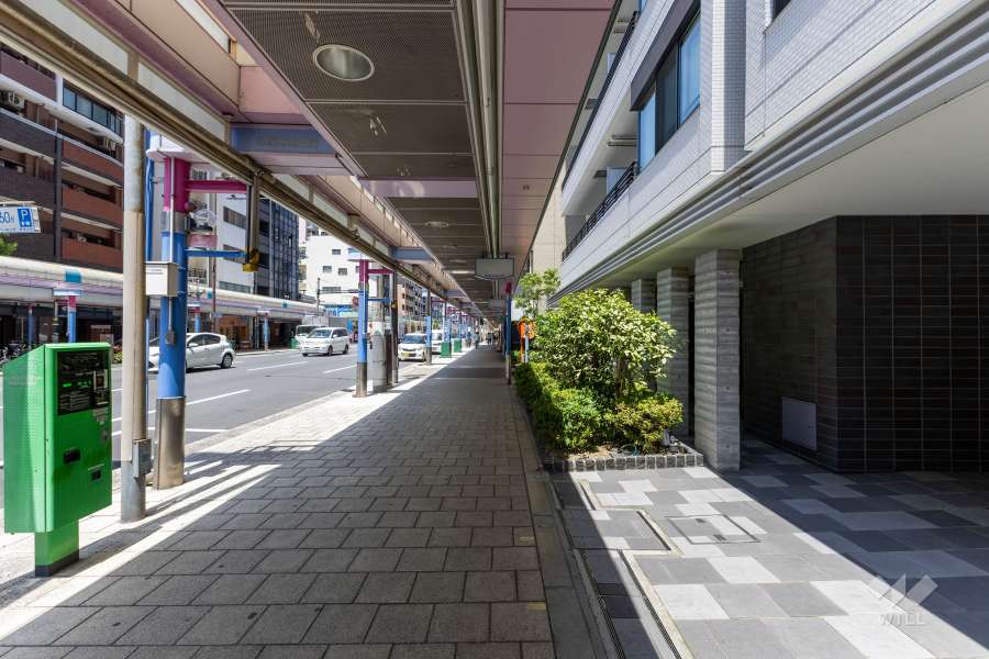 敷地の西側前面道路（南側から）