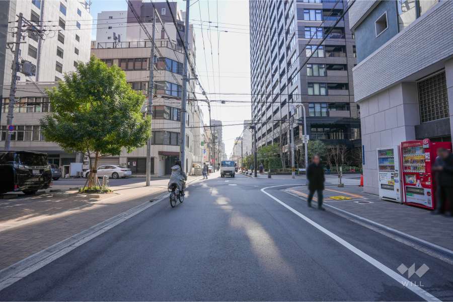 敷地西側の前面道路（北側から）