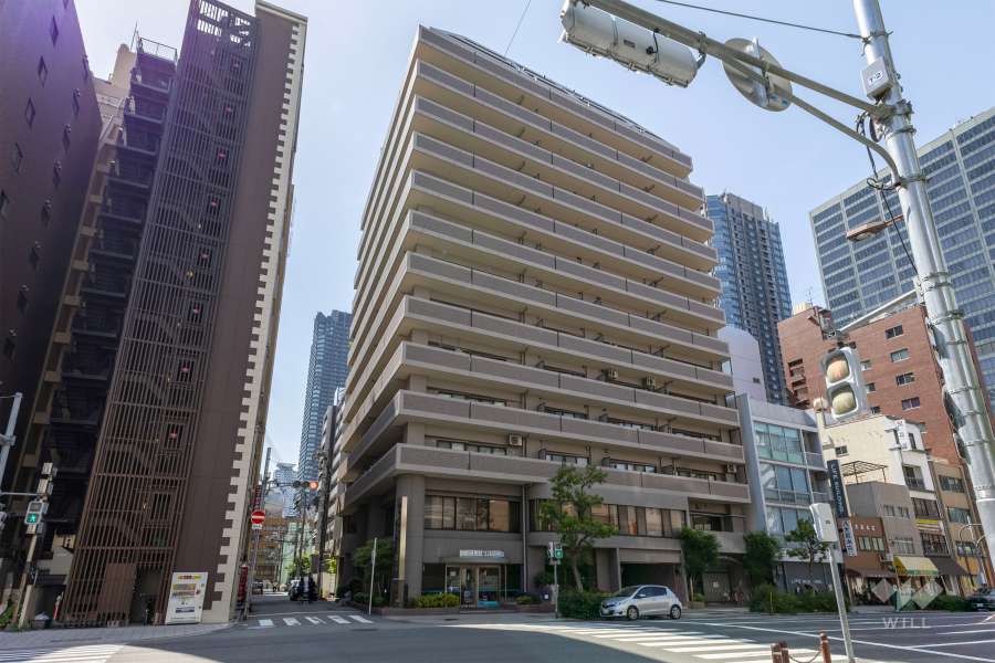 グランコープ東高麗橋の外観（南東側から）