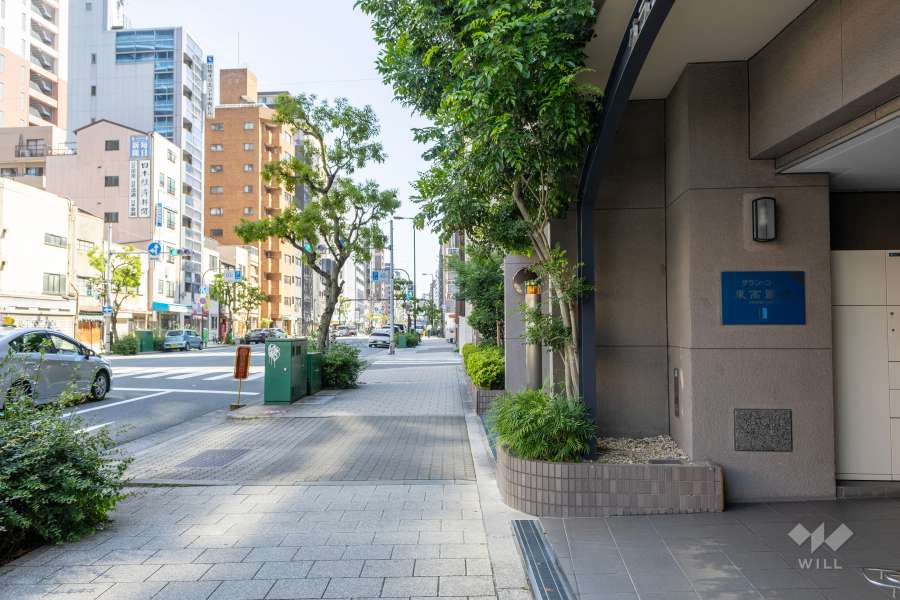 敷地東側の前面道路　