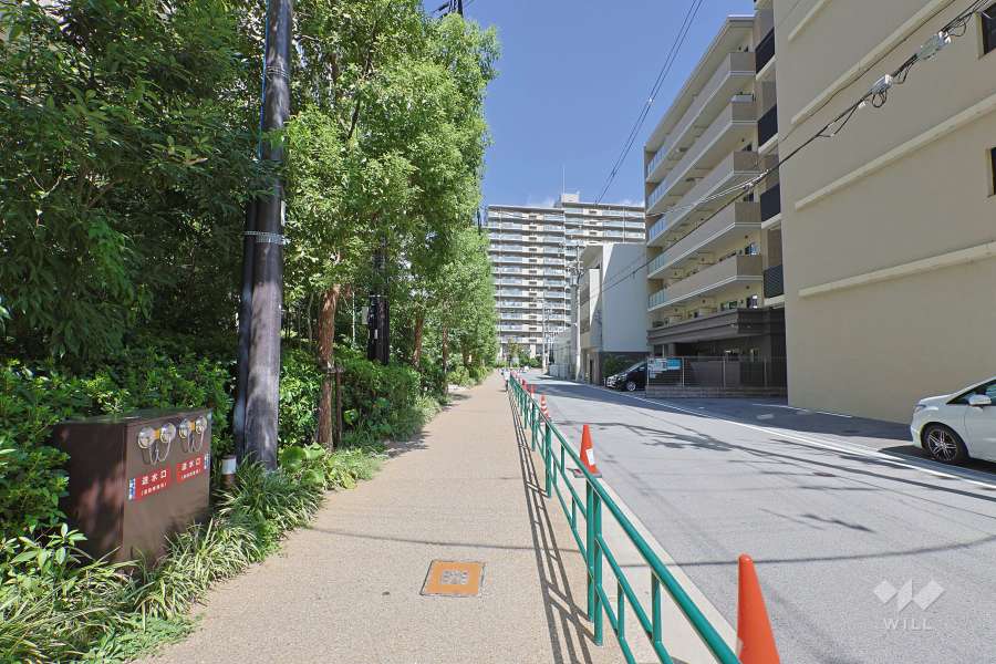 敷地の東側前面道路（南側から）