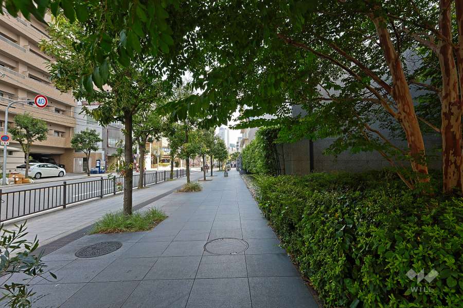 敷地北西側の前面道路（南西側から）