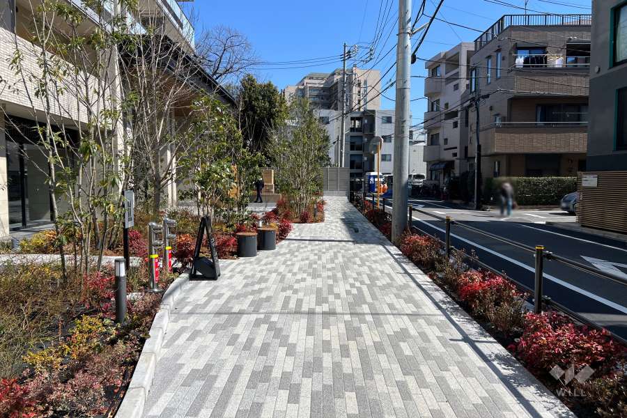 敷地南側の前面道路