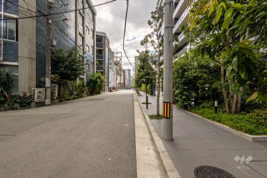 敷地東側の前面道路（北側から）