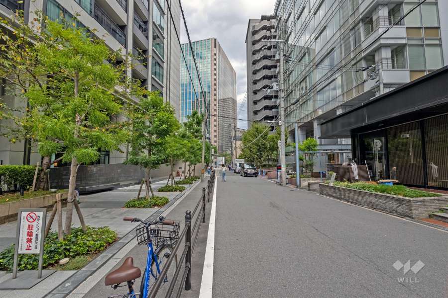 敷地の南側前面道路（西側から）