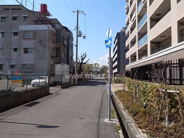 敷地南側の前面道路。南、東、北の3方が接道しています。