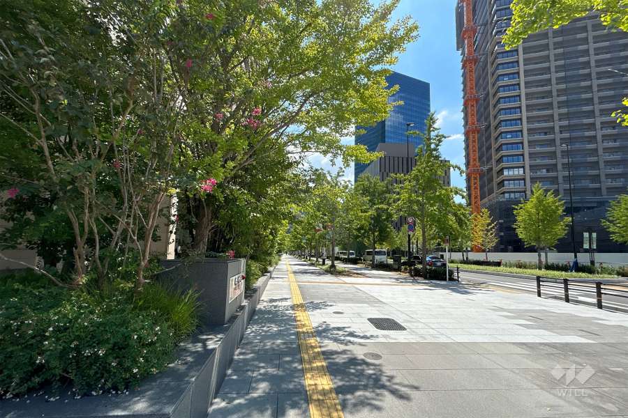 敷地西側の前面道路（北側から）