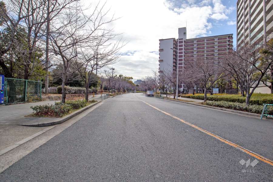 敷地東側の前面道路（北西側から）