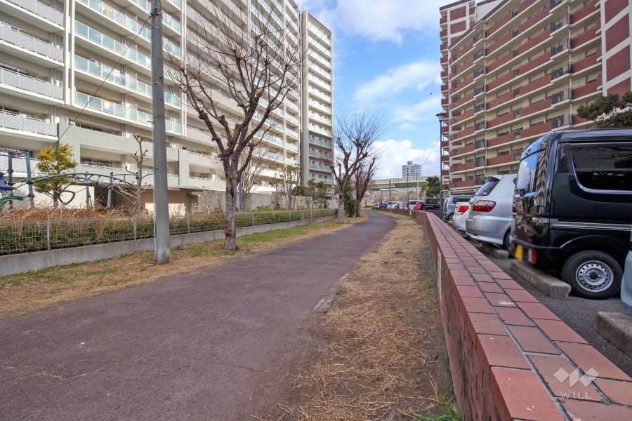 敷地南側の前面道路（南西側から）