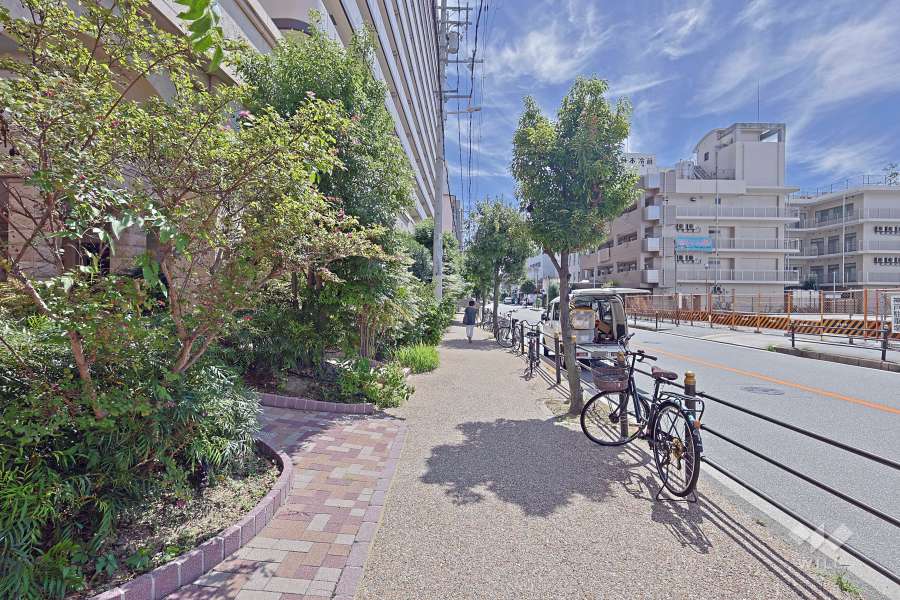 敷地の西側前面道路（北側から）