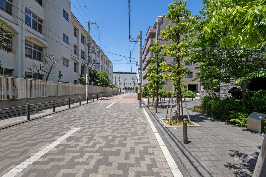 敷地南側の前面道路（東側から）