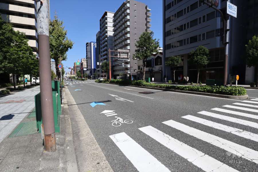 敷地東側の前面道路