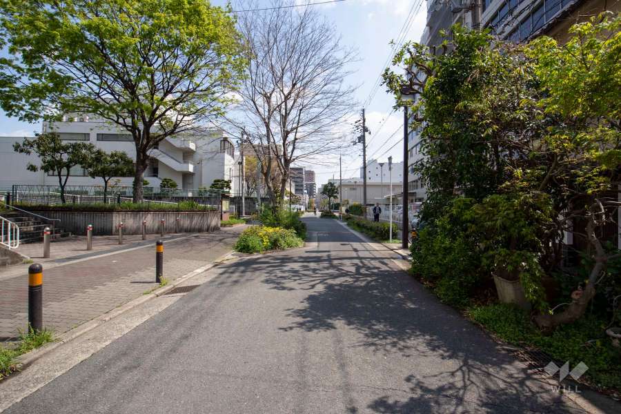 敷地南側の前面道路（西側から）