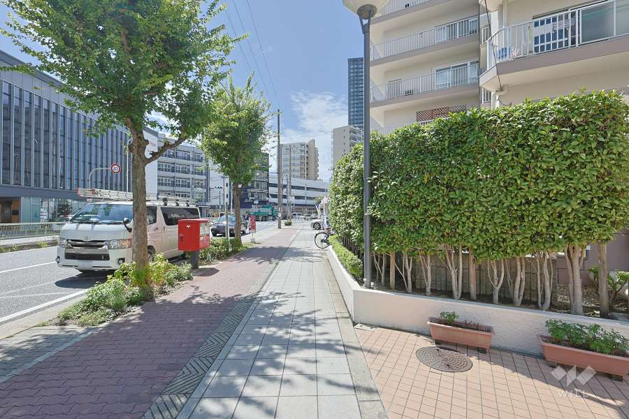 敷地南東側の前面道路（北東側から）