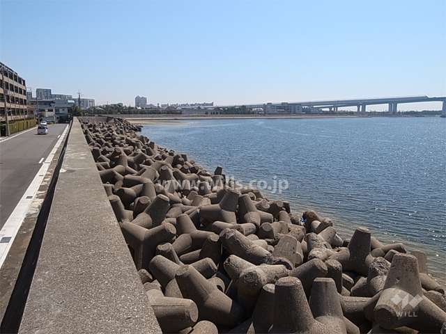 敷地のすぐ南側には海が広がっています。