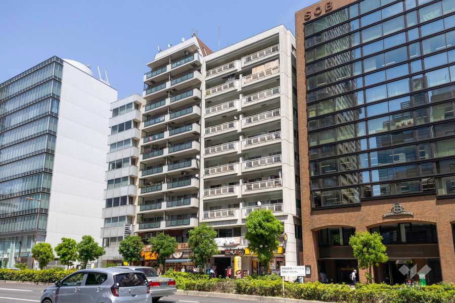 大手前ストークマンションの外観（南西側から）　