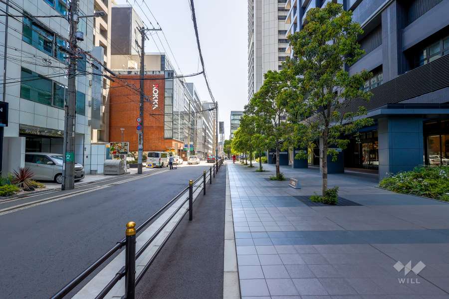 敷地北側の前面道路（西側から）