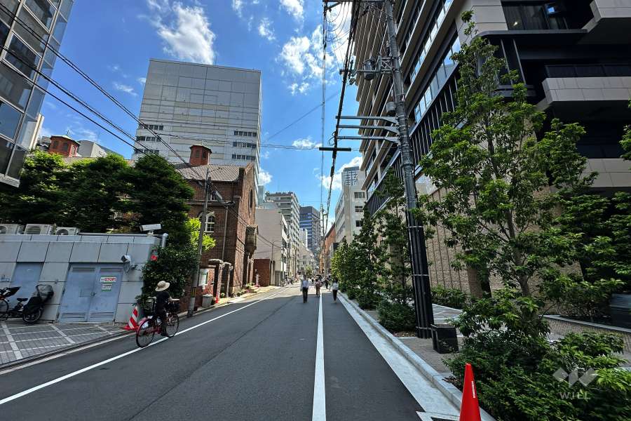 敷地北西側の前面道路（南西側から）