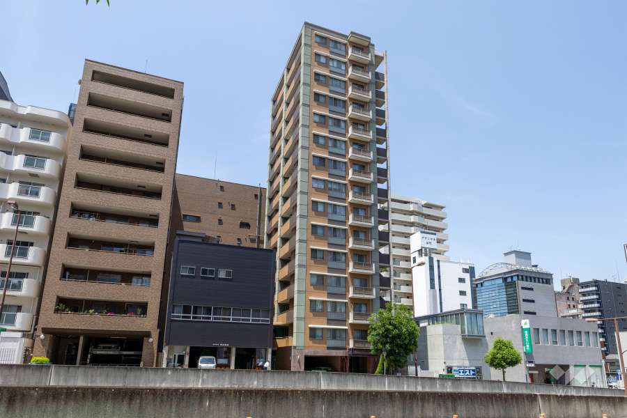 ダイアパレス谷町アクティブシティの外観（南東側から）