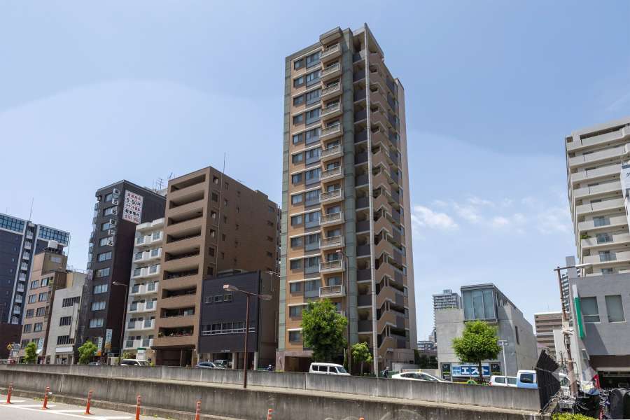 ダイアパレス谷町アクティブシティの外観（北東側から）