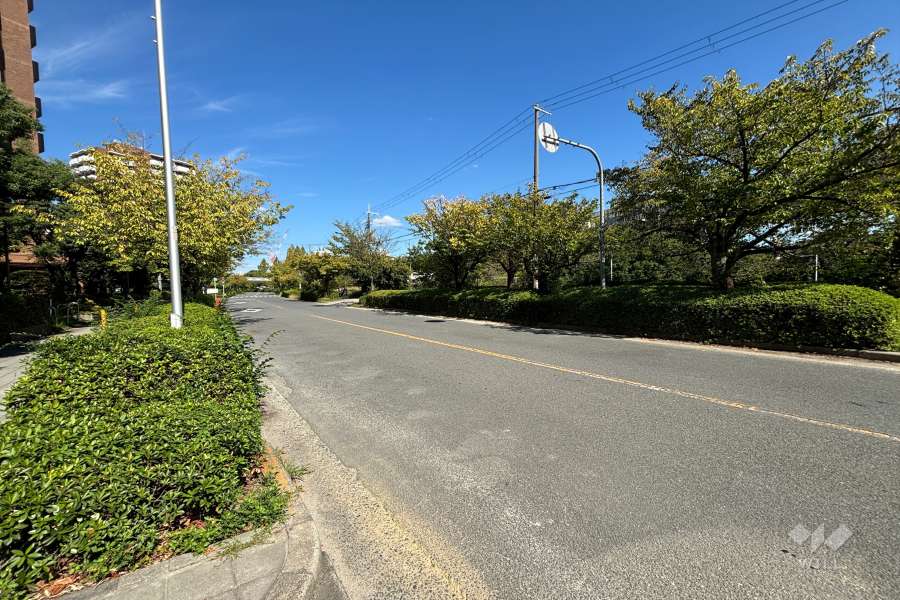 敷地東側の前面道路