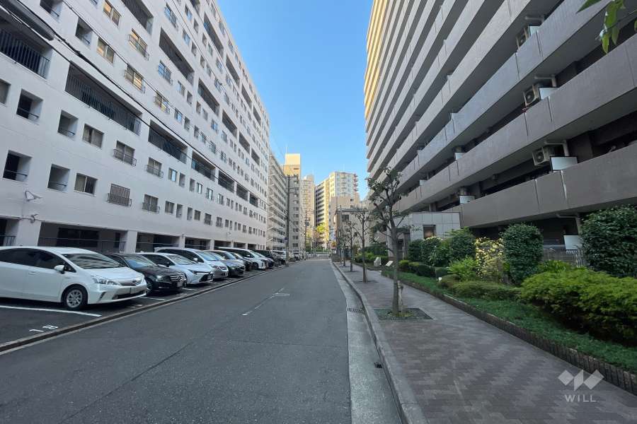 敷地南東側の前面道路