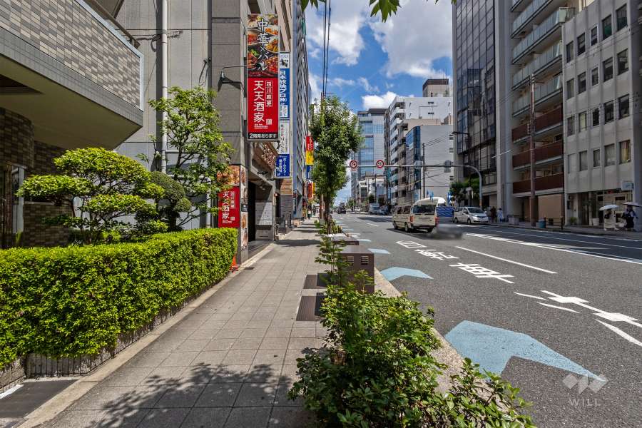 敷地南側の前面道路（西側から）