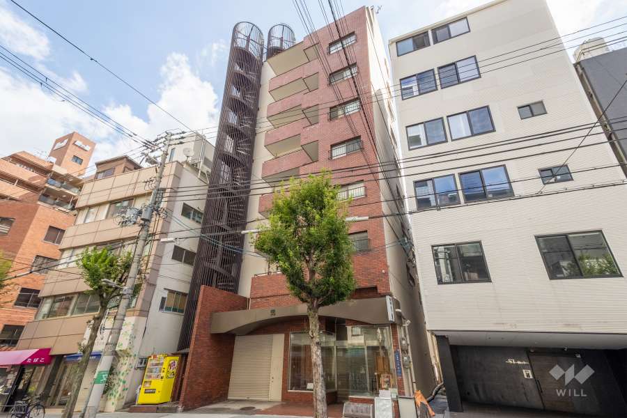 大手前ヒルズの外観（南西側から）　