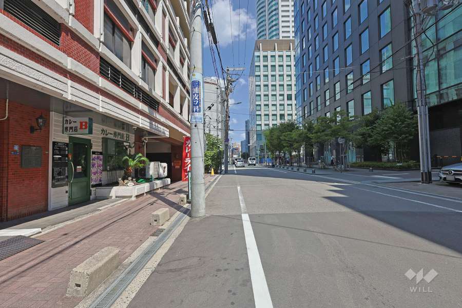 敷地南側の前面道路（西側から）