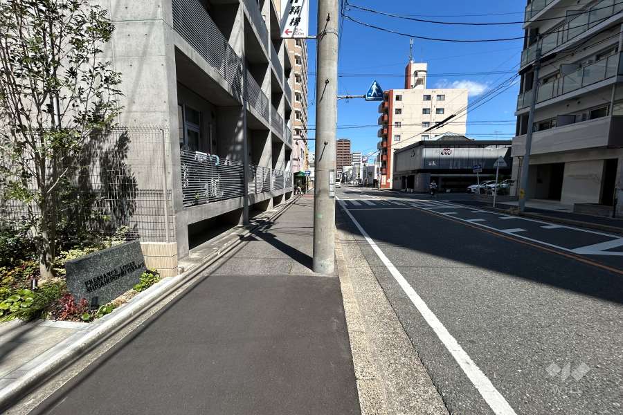 敷地東側の前面道路(南側から)
