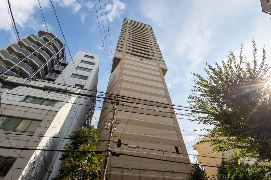 マストタワー安堂寺の外観（北東側から）