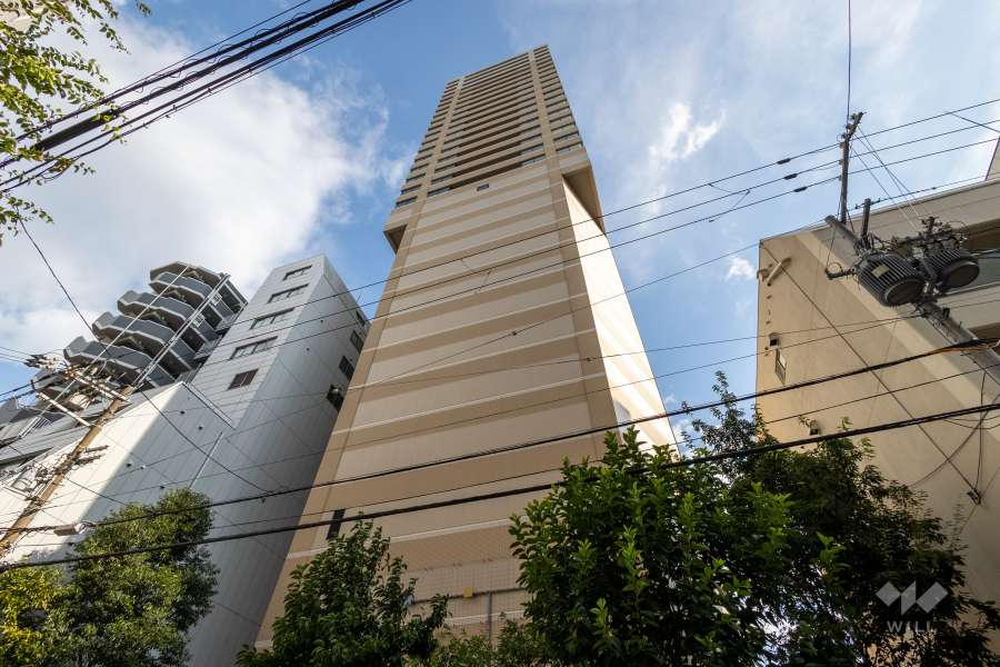 マストタワー安堂寺の外観（北西側から）