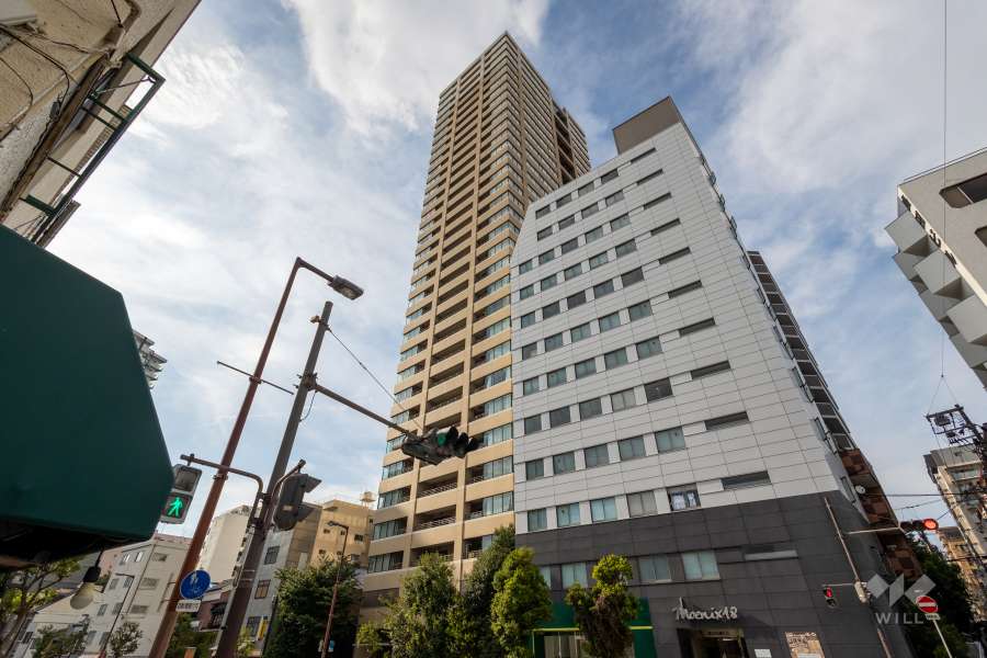 マストタワー安堂寺の外観（南東側から）
