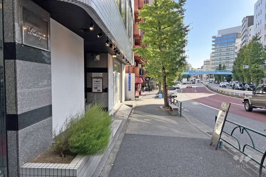 敷地西側の前面道路（北側から）