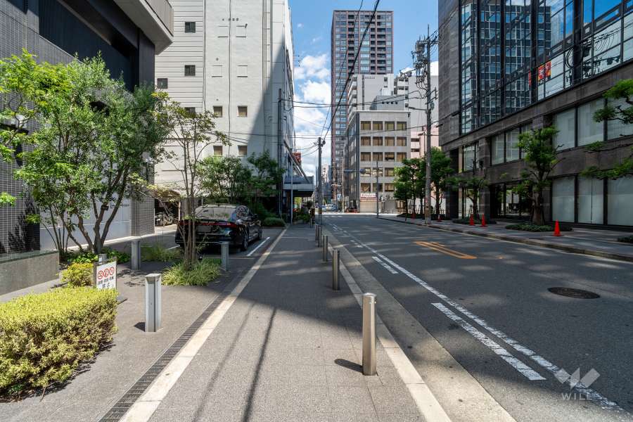 敷地北側の前面道路（西側から）