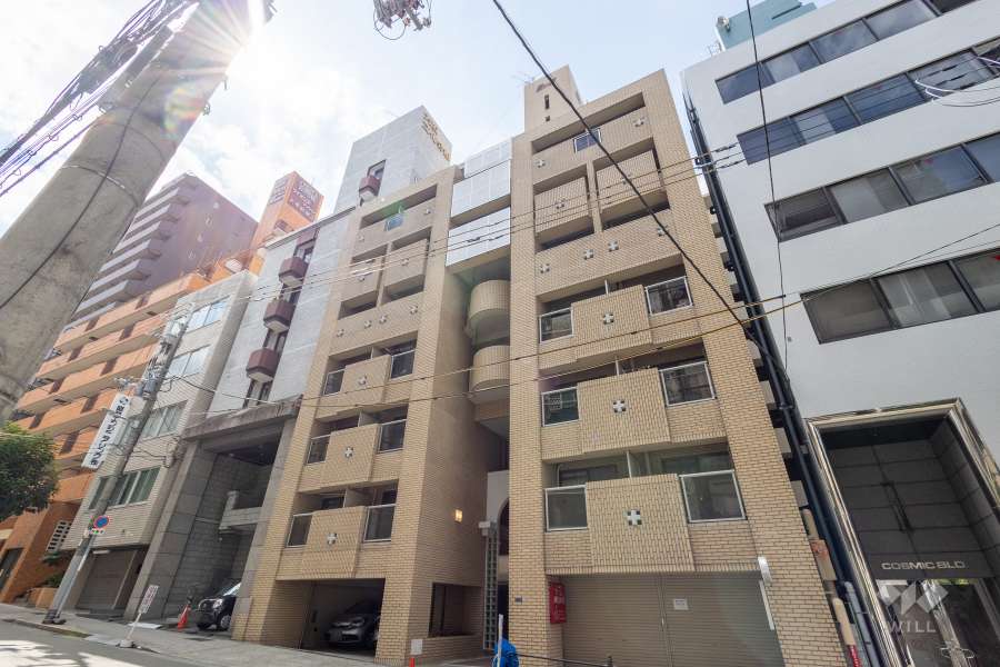 ニューライフ大手前参番館の外観（北西側から）